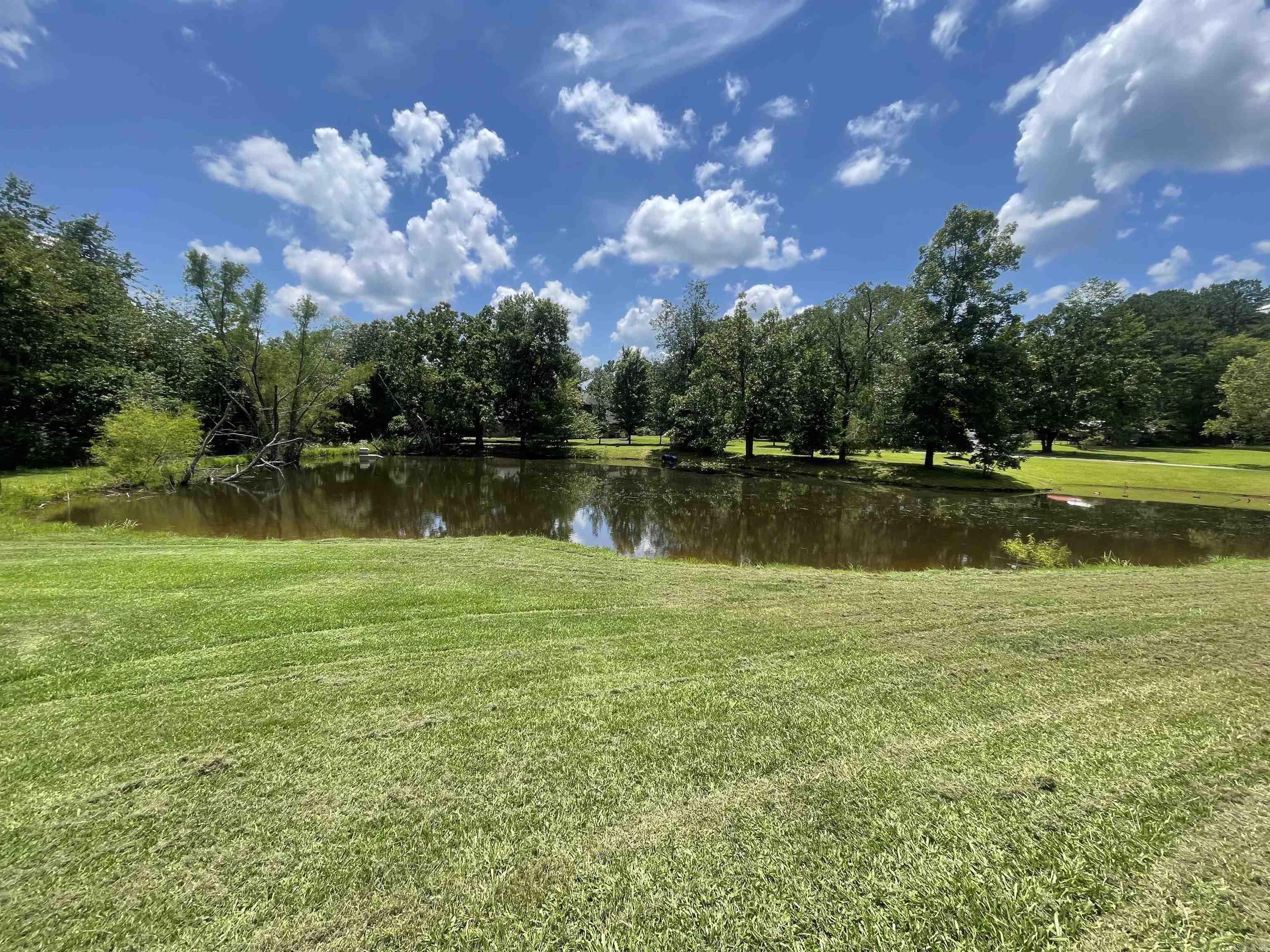 Property Photo:  201 W Bullion  AR 71953 