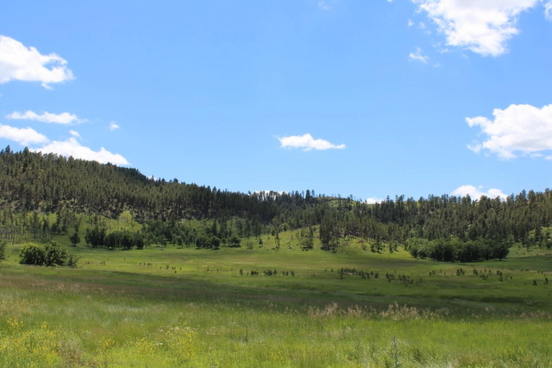 Property Photo: 11A Bay Mountain Road WY 82720-9999