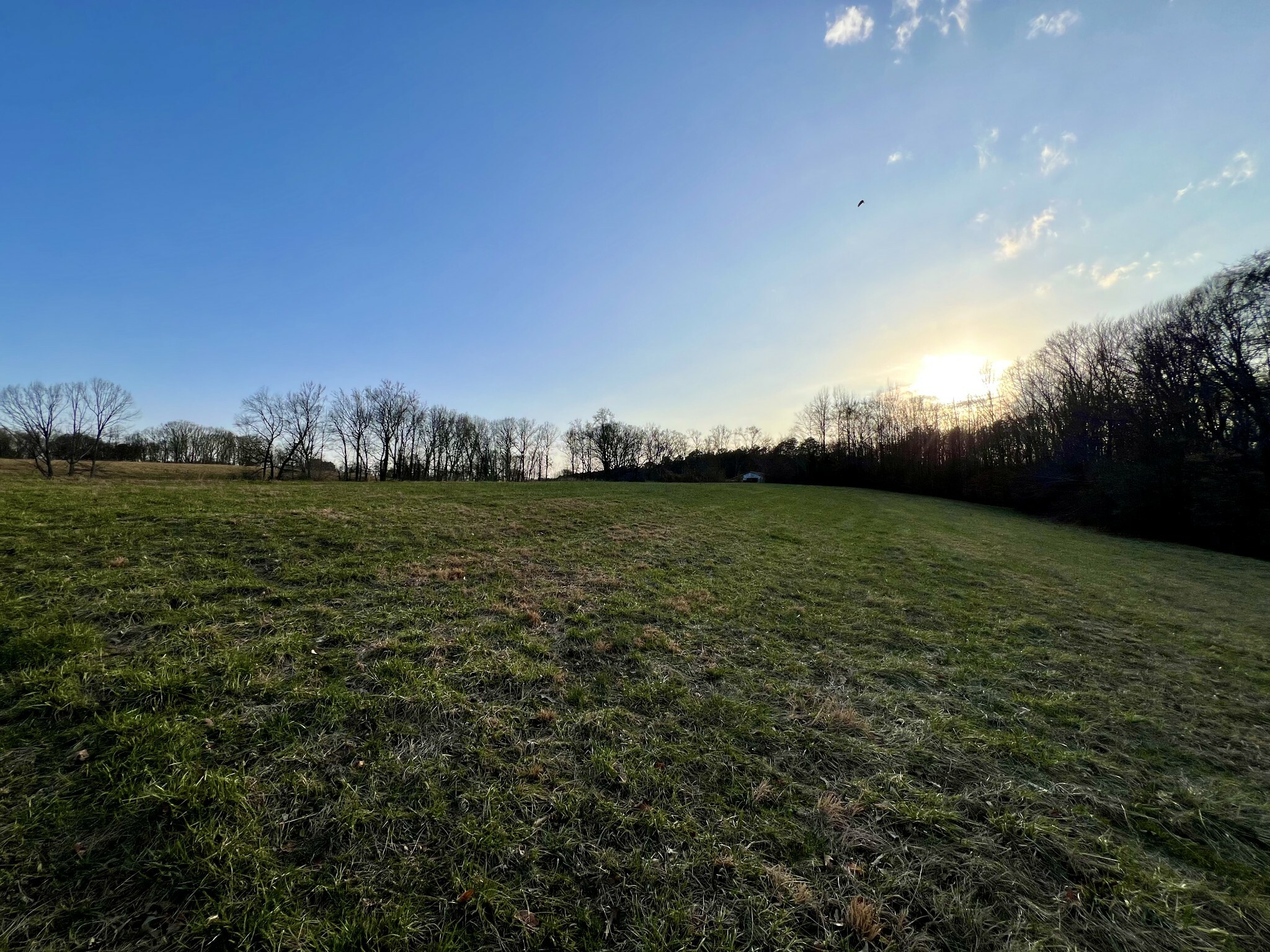 Property Photo:  19 Gowen Rd  TN 38468 