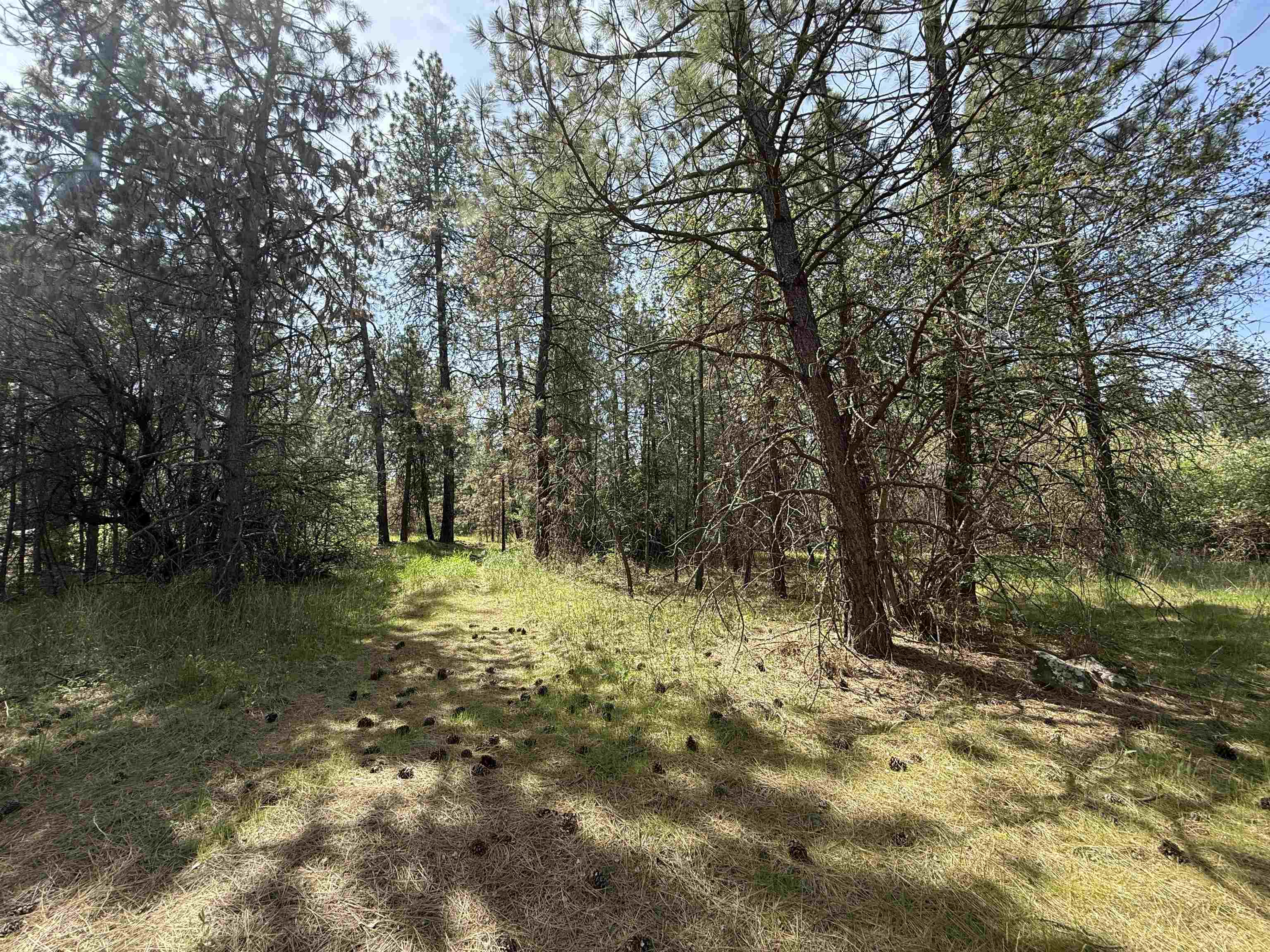 Property Photo: 3108 W Thorpe Rd WA 99224