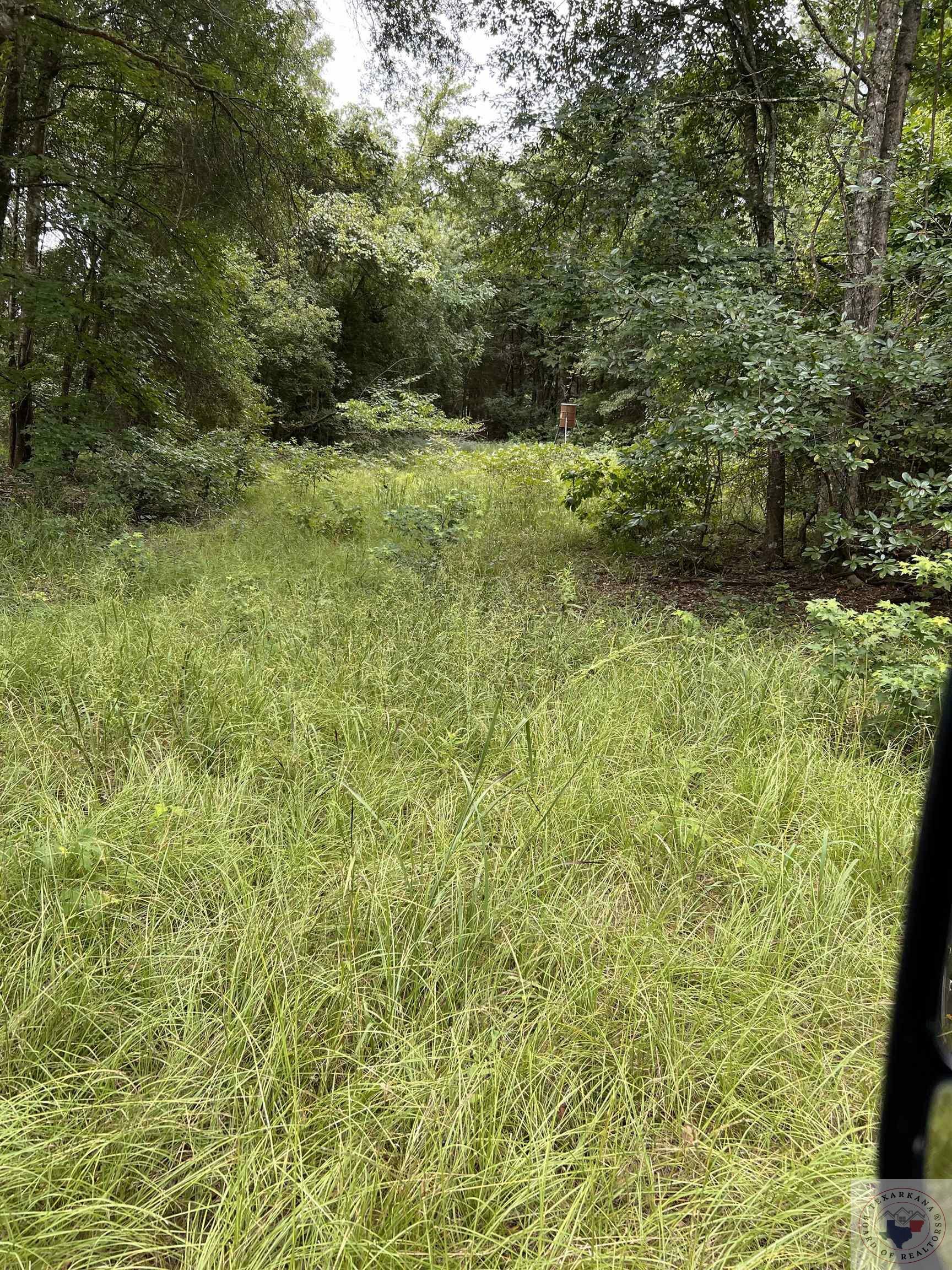 Property Photo: 1057 County Road 3230 TX 75828
