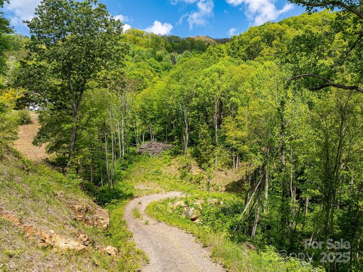 Property Photo:  1851 Newfound Road  NC 28748 