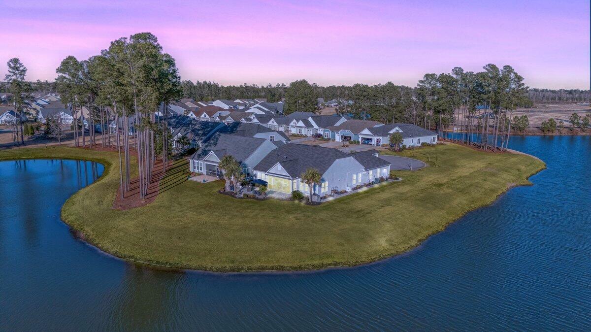 Property Photo: 115 Bluff Isle Court SC 29486