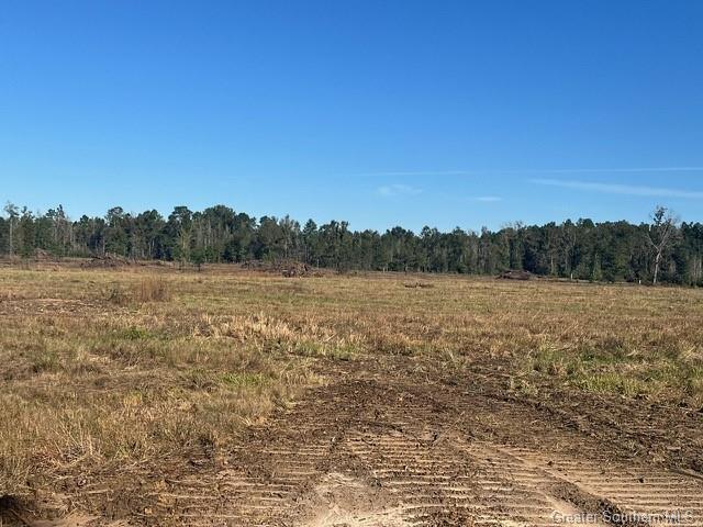 0 Conway Rosteet Road  Longville LA 70652 photo