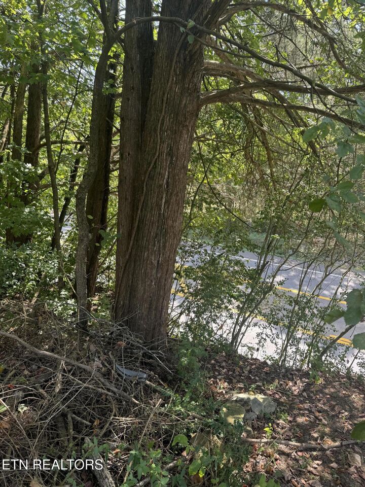 Property Photo:  Highway 92  TN 37725 