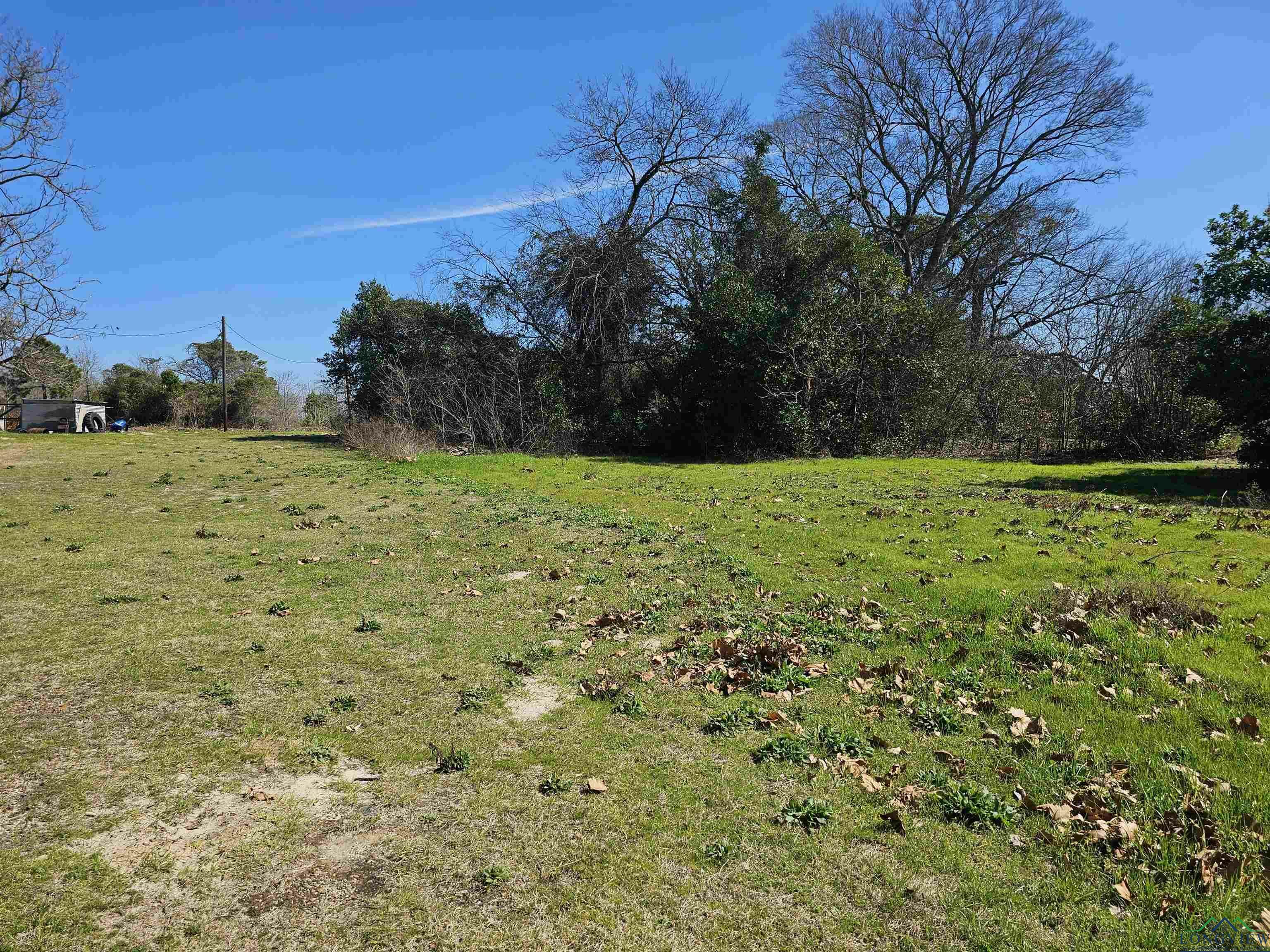 Property Photo:  Tbd Fm 1002 (.7229 Acres)  TX 75755 