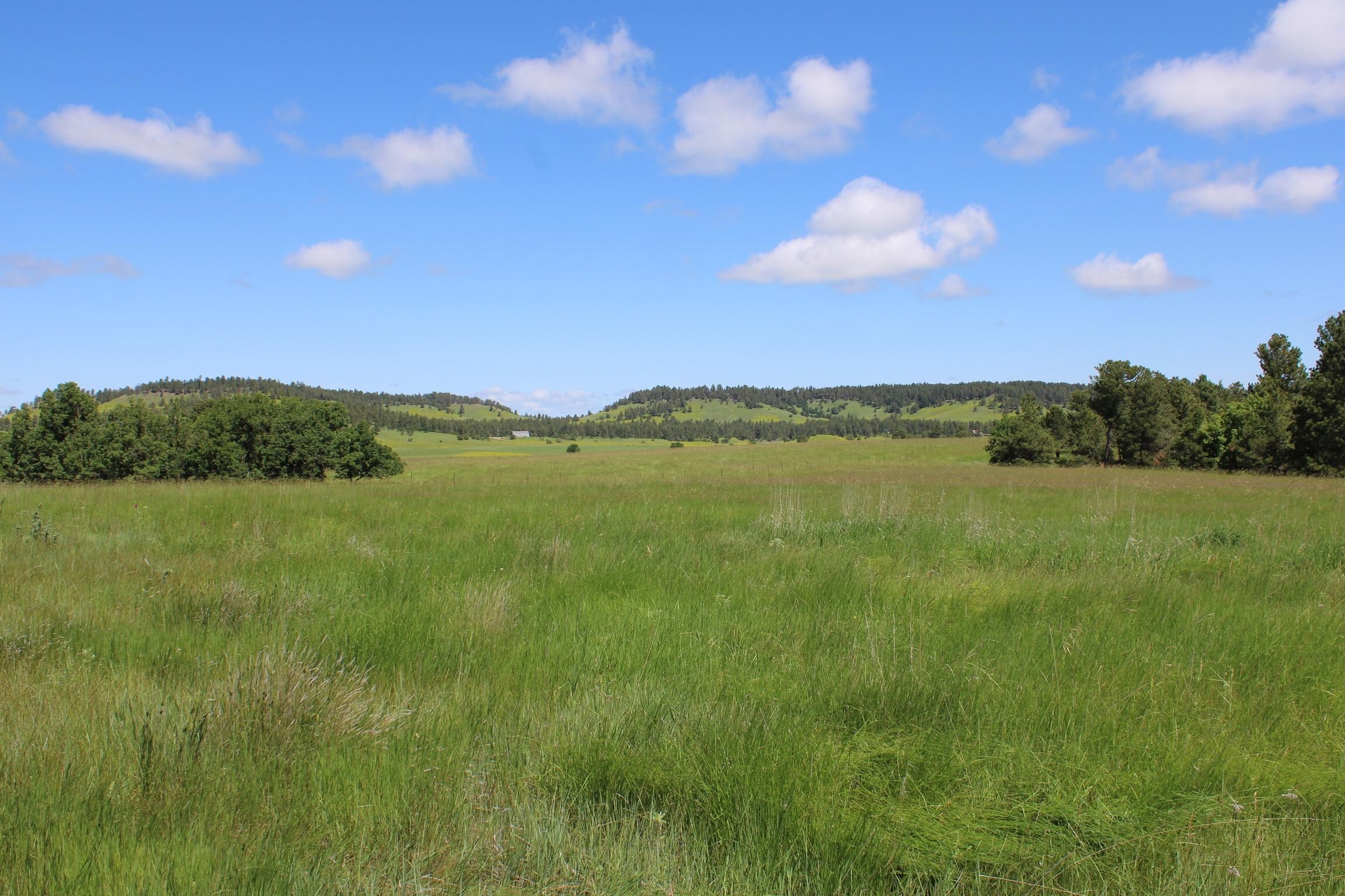 Property Photo: Tract 24 Thrill Hill Road WY 82720-9999