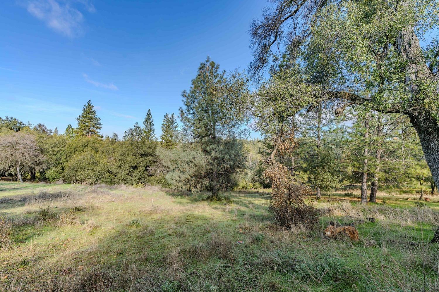 Property Photo:  0 Union Hill  CA 95370 