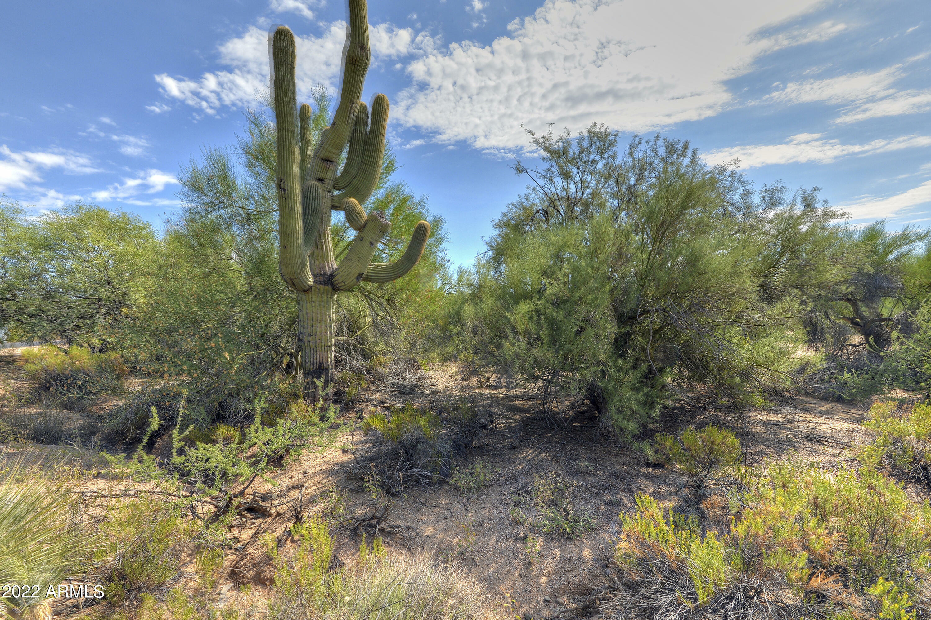 Property Photo: 9655 E Rising Sun Drive 23 AZ 85262