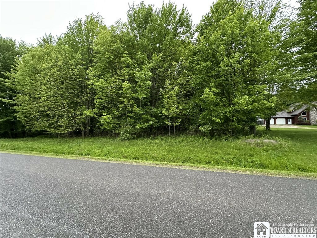 Property Photo:  583 Prosser Hill Road  NY 14701 