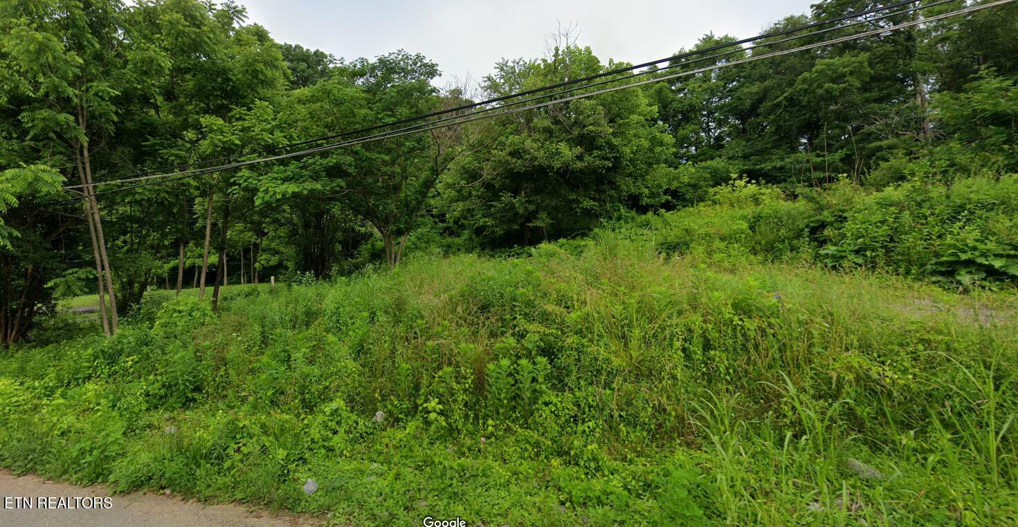 Property Photo:  1321 Beechmont Drive  TN 37920 