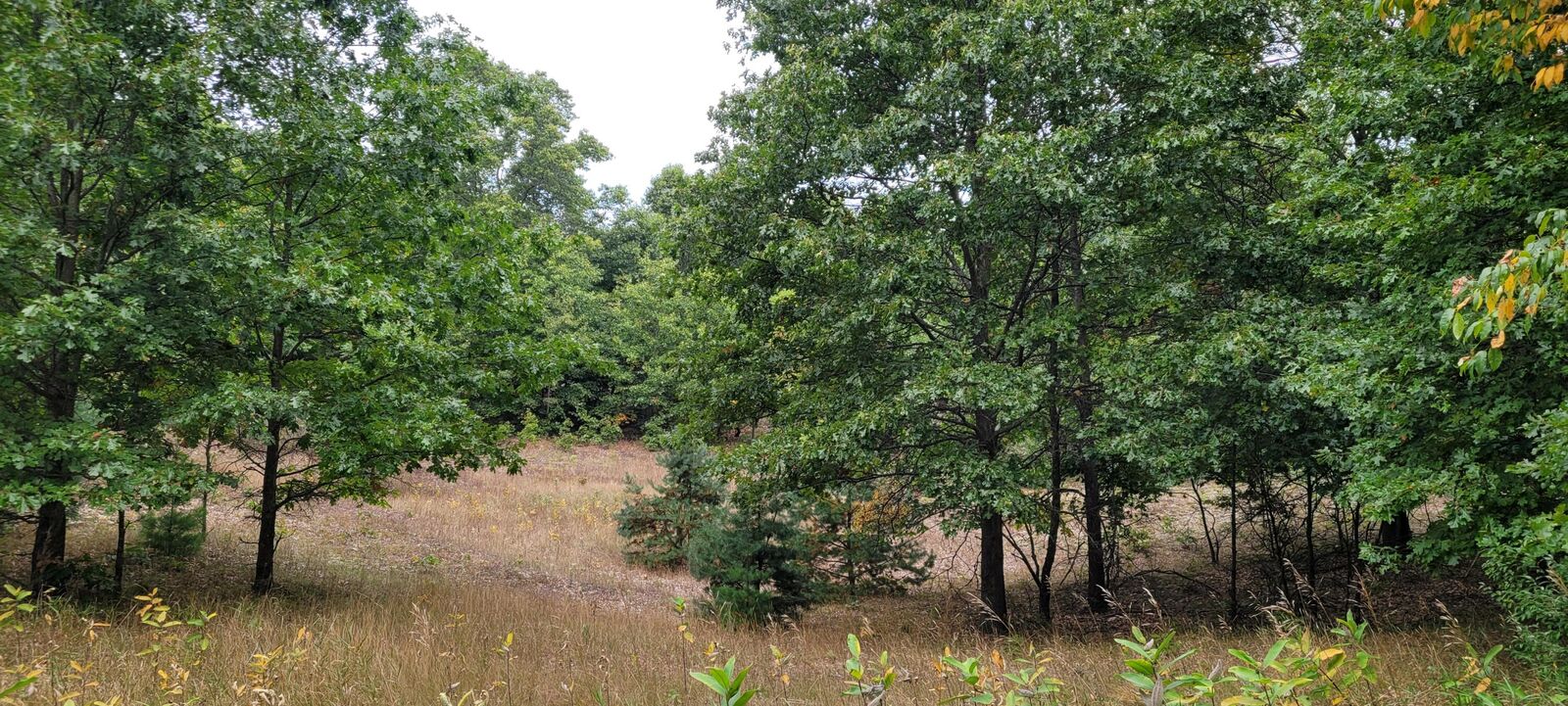 Property Photo:  300 N 56th Avenue  MI 49436 