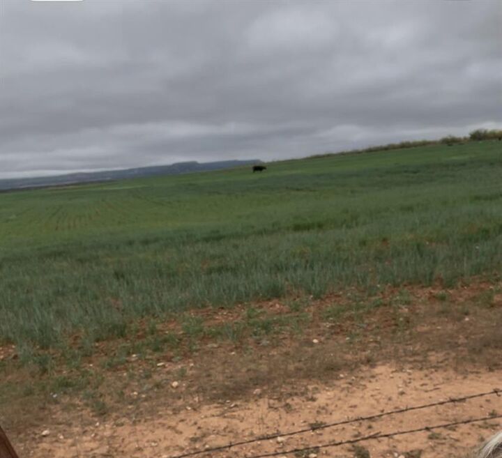 Property Photo: 3238 Fm 1770 TX 79567
