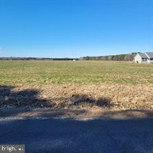 Property Photo: 0 Box Iron Road MD 21863