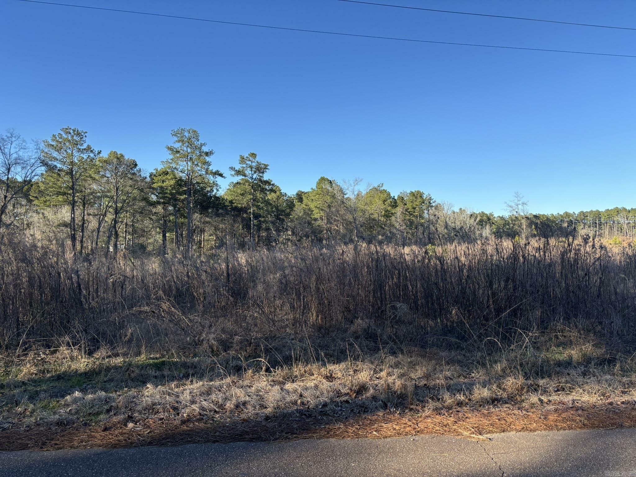 Property Photo: 16.84 Acres N Cannon And 1st Street AR 71764