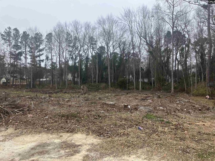 Property Photo:  W/S Cranley  SC 29229 