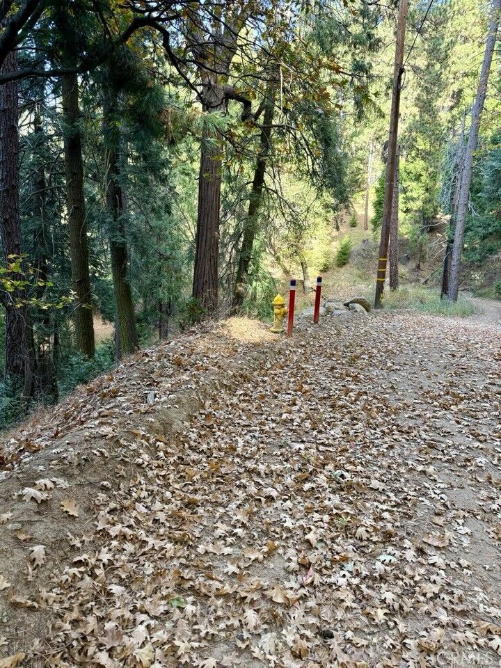 Property Photo:  61 Lot - El Valle Road  CA 92322 