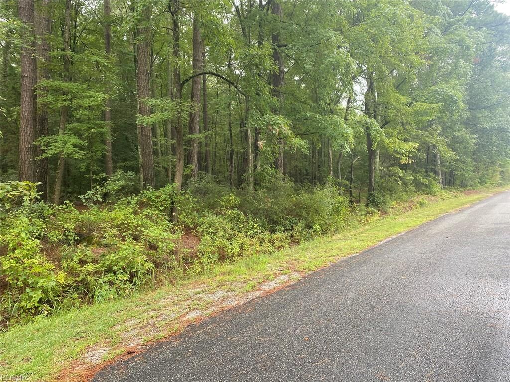 Property Photo: 0 Hicks Wharf Rd VA 23025