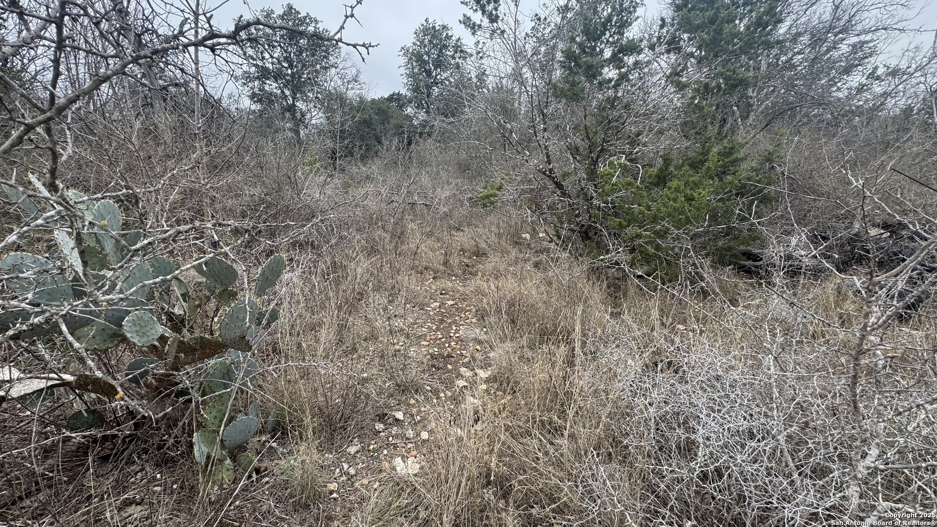 Property Photo:  Lot 3 Earhart Ln  TX 78239 