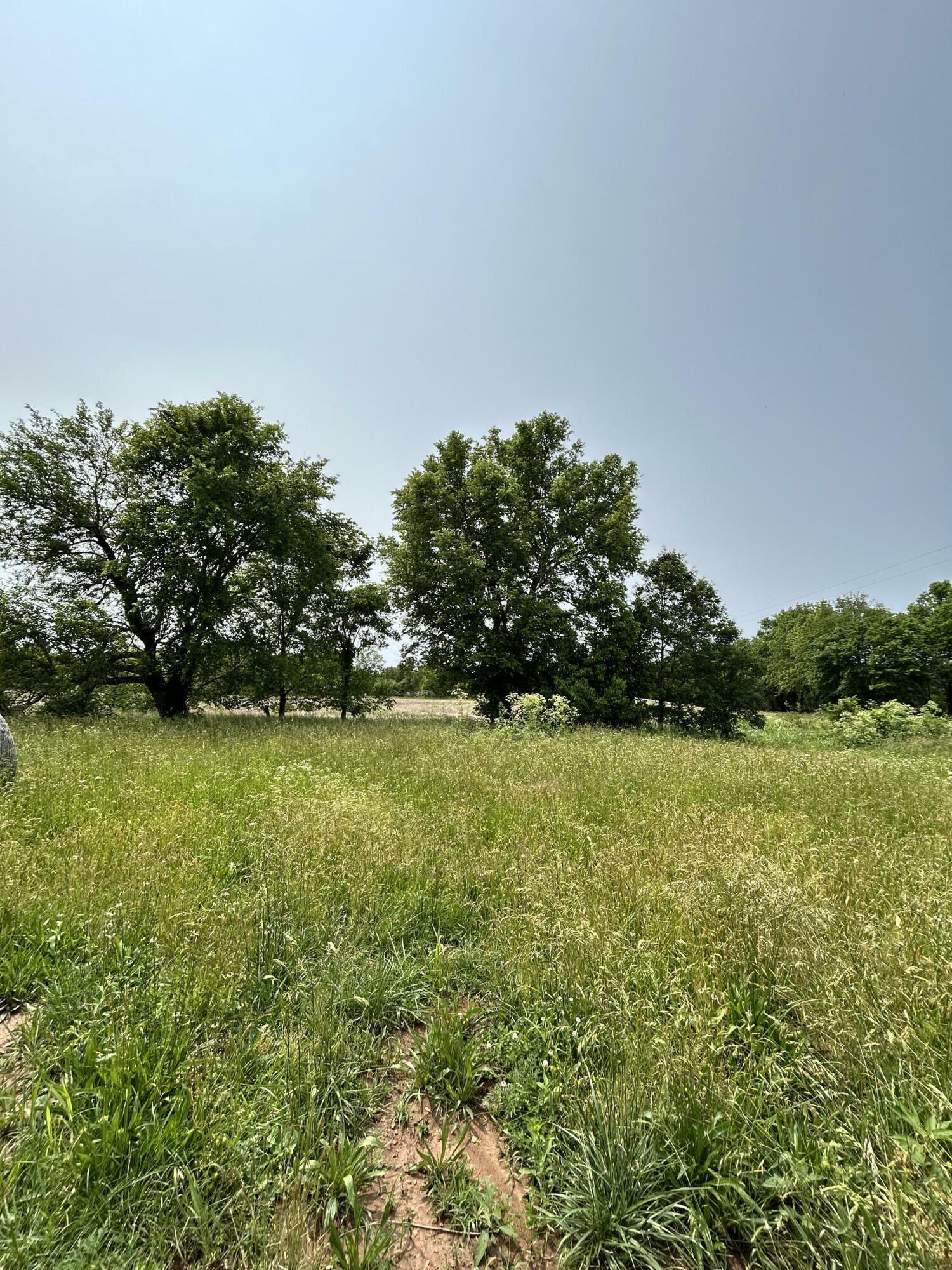 Property Photo:  Lot 1 S State Highway T  MO 65802 