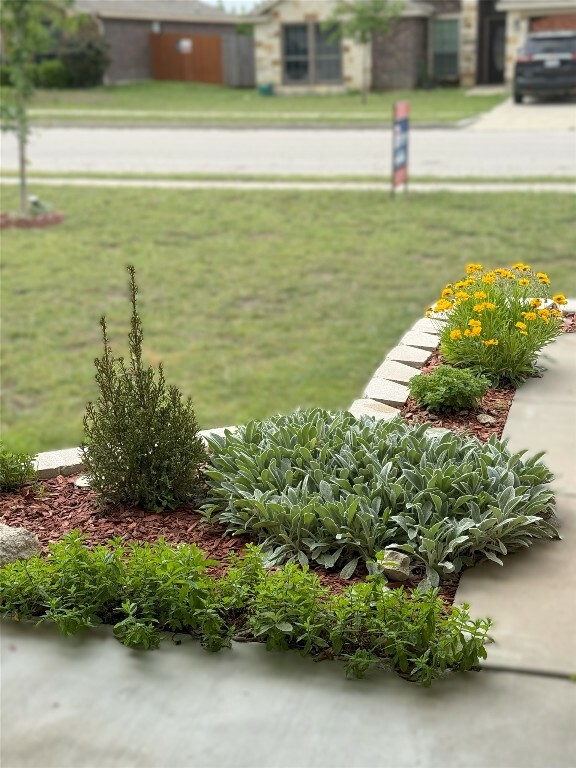 Property Photo:  3434 Horizon Street  TX 76522 