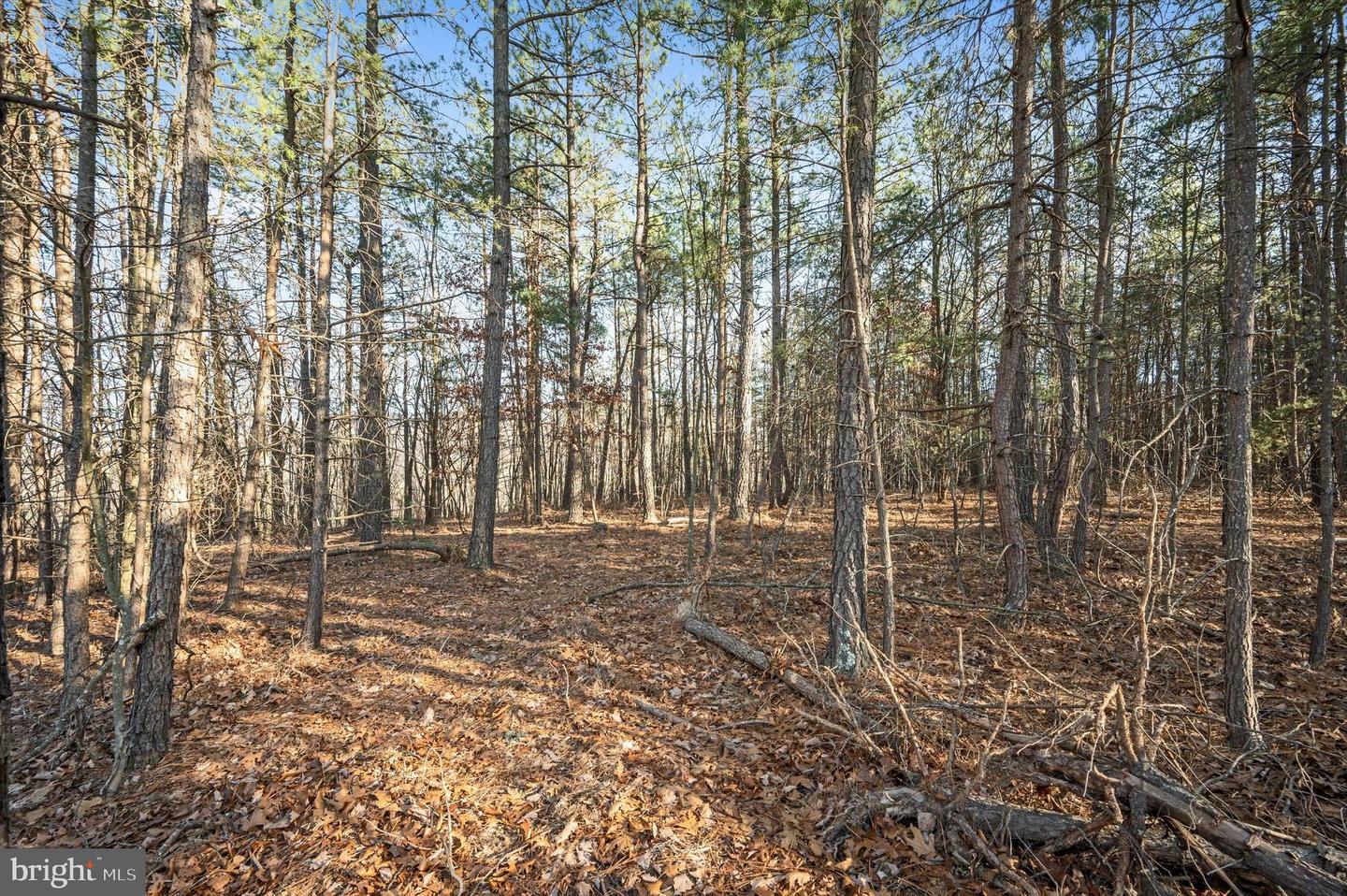 Property Photo:  Lot 2 Back Creek Rd  VA 22637 