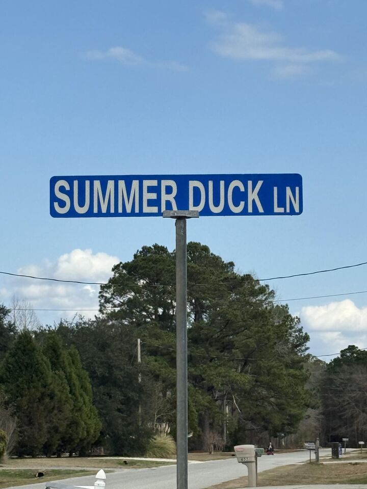 Property Photo:  133 Summer Duck Lane  SC 29431