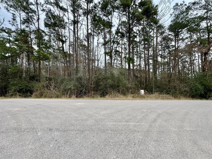 Property Photo: Lot 107 Whisperwood Drive TX 77360