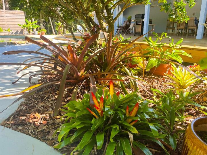 Property Photo:  725 Ingham Road  FL 32168