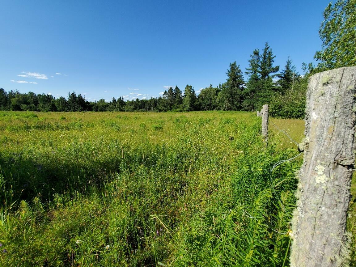 Property Photo:  299 Centerville Road  ME 04623 