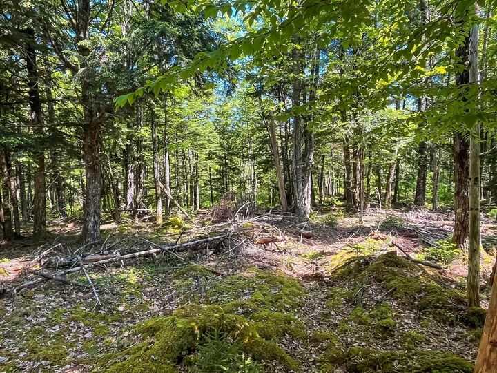 Lot 1000 Conquerall Road — photo 1