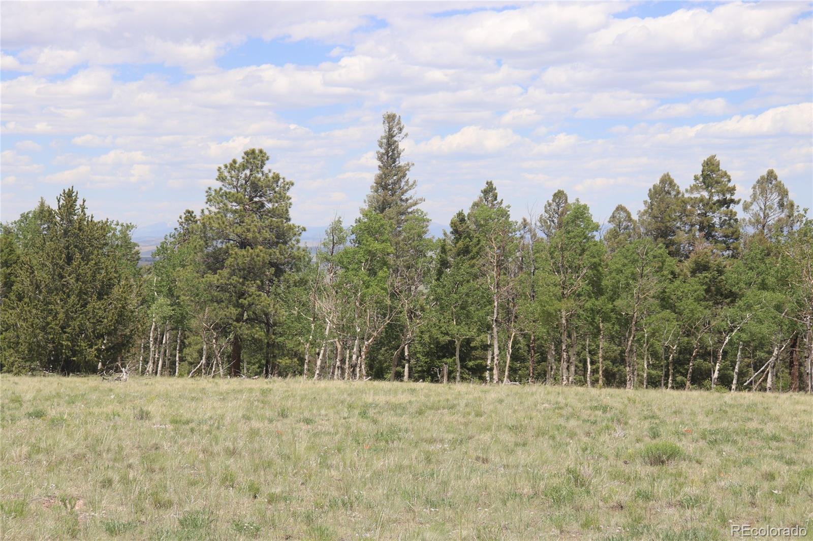 Property Photo:  1100 Bolster Drive  CO 80449 