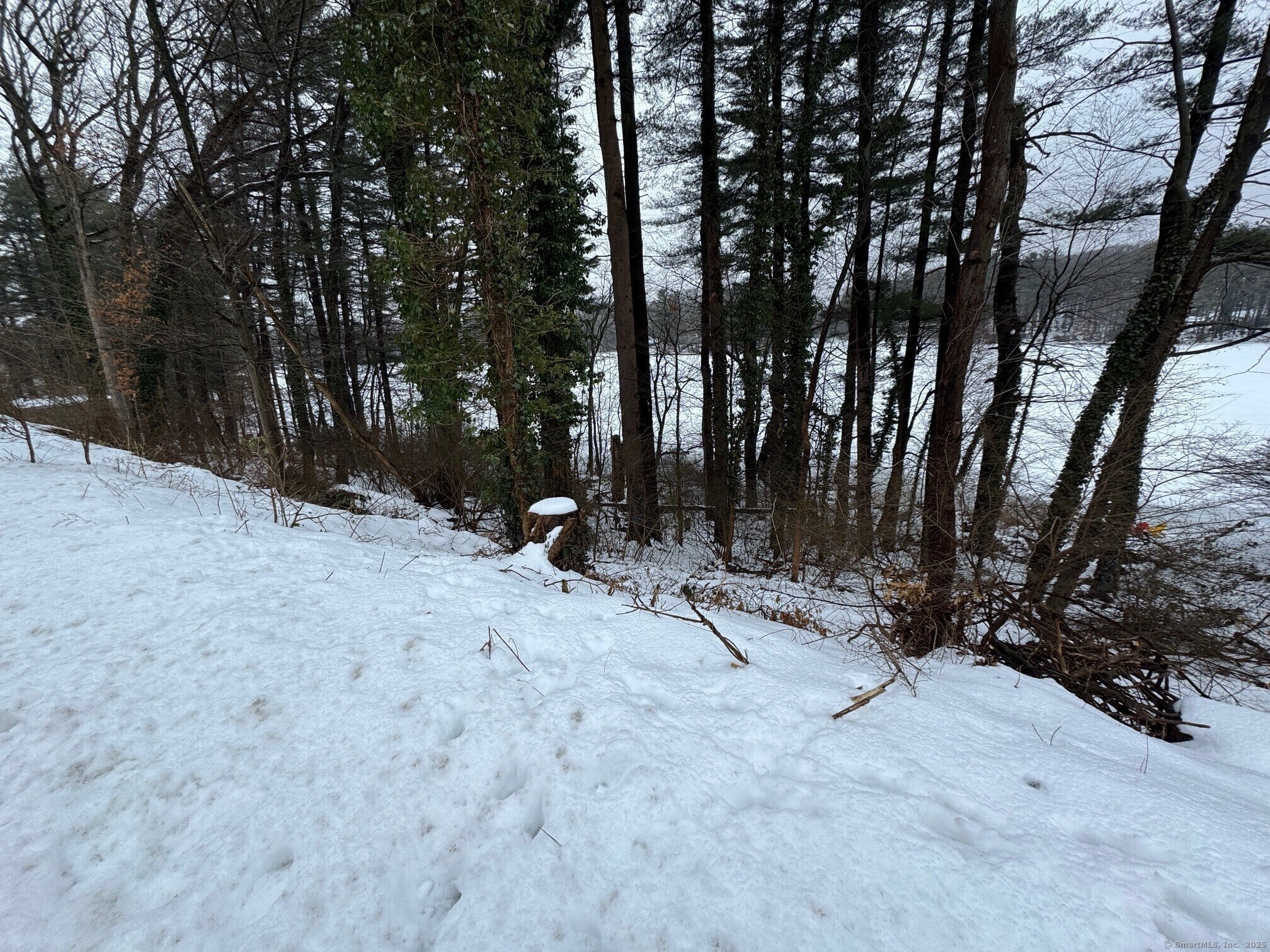 Property Photo: Pinewood Trail CT 06611