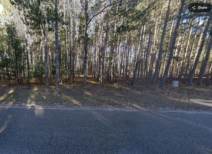 Lot 1074 Michaywe Drive  Gaylord MI 49735 photo