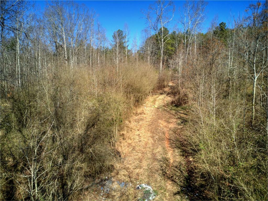 Property Photo:  2812 Dorsey Peek Road  GA 30507 