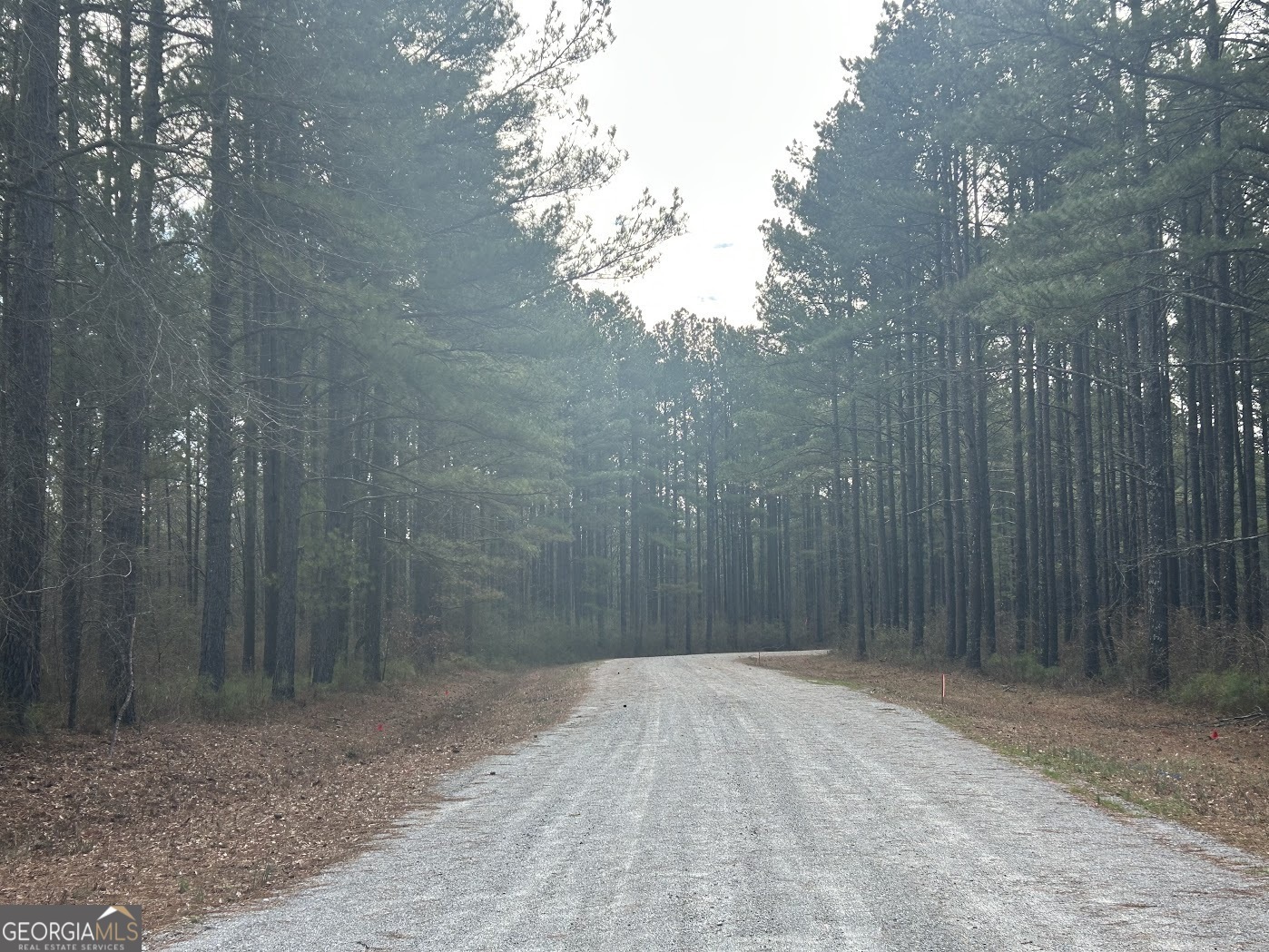 Property Photo: 0 Riversong Road - GA 30117