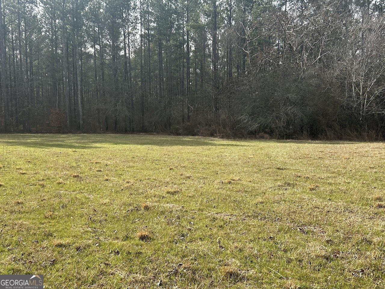 Property Photo: 149 River Cove GA 30117