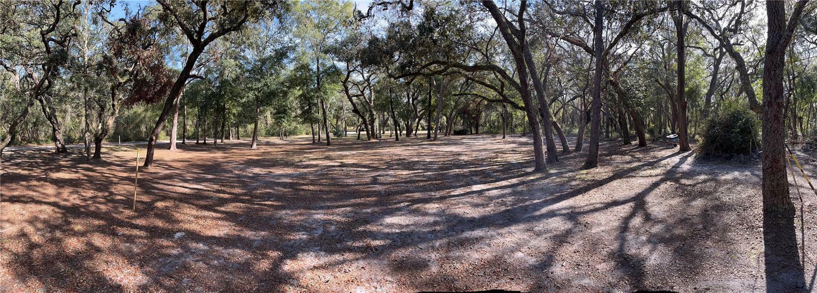 16347 Albright Road  Spring Hill FL 34610 photo