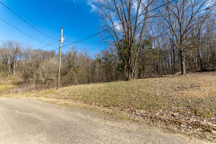 Property Photo: 0 Salt Ln TN 38372