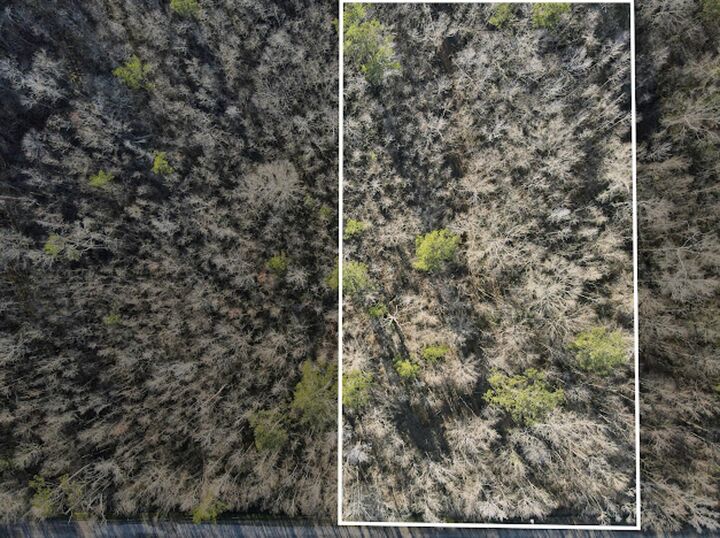 Property Photo: 658 County Road 3135 TX 77612