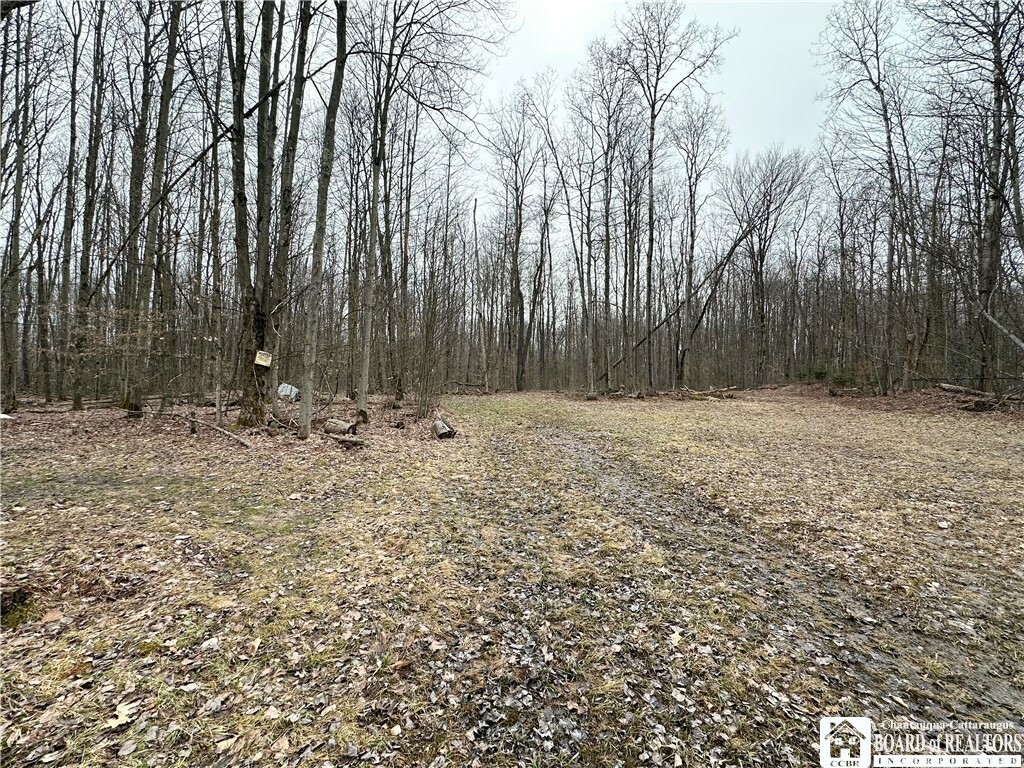 Property Photo: 0 Donelson Road NY 14701