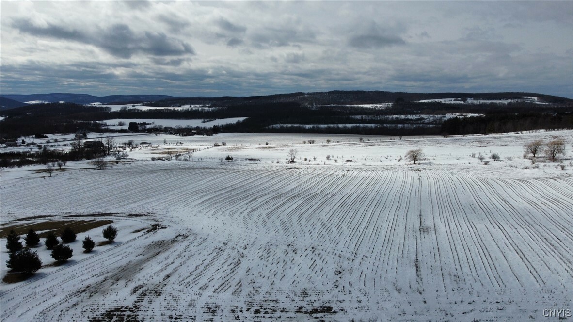 Property Photo:  S Cortland Virgil Road  NY 13045 