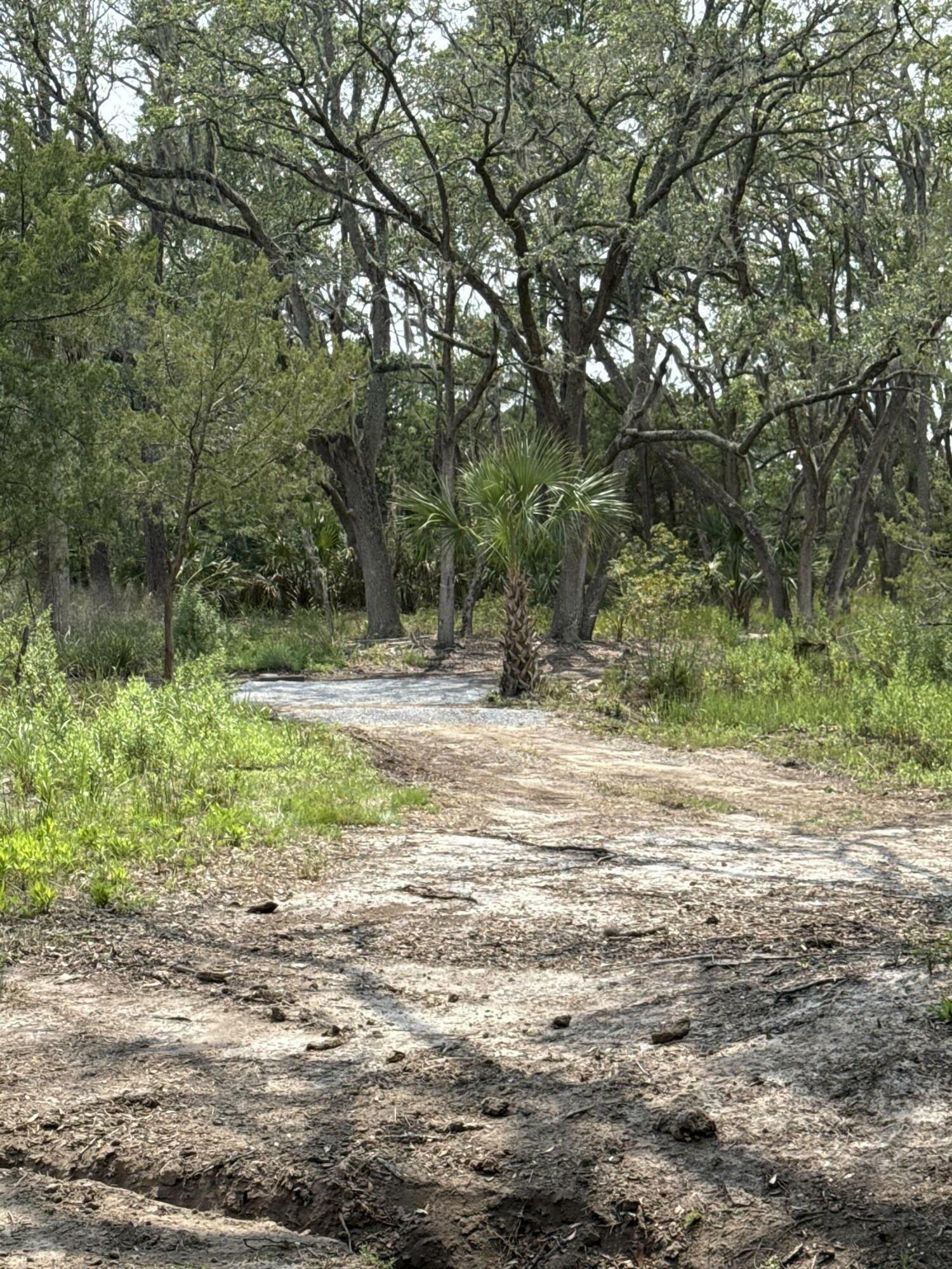 Property Photo: 0 Whooping Island Creek Drive SC 29438