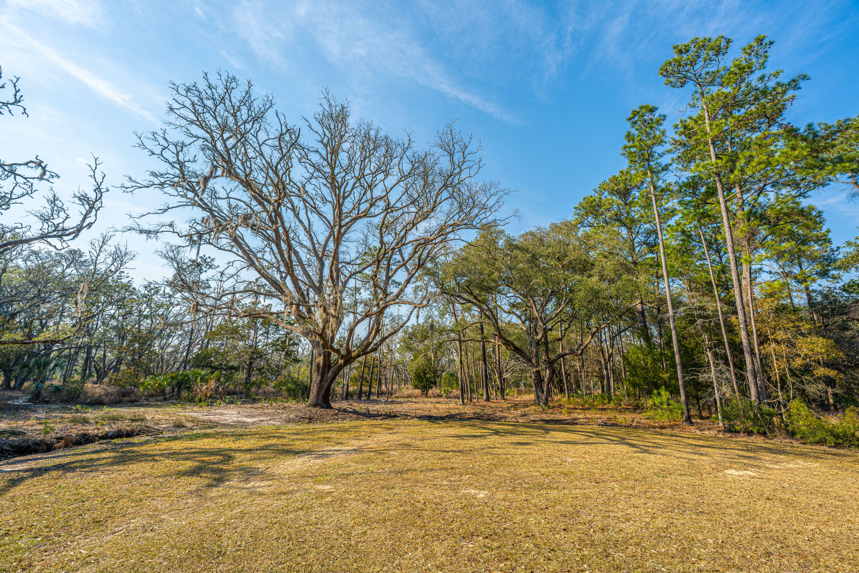 Property Photo:  0 Whooping Island Creek Drive  SC 29438 