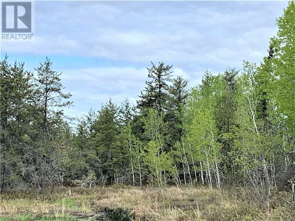 Property Photo:  Lot 3 Bodson Drive  ON P3P 0A8 