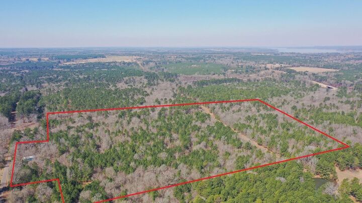 Property Photo:  569 Whippoorwill Drive  TX 75657 