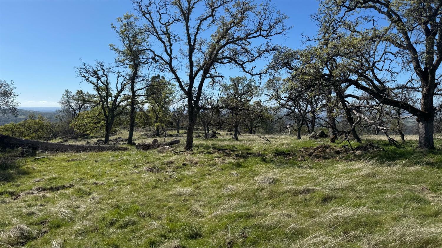 Property Photo: 24343 Big Spring Drive CA 95949