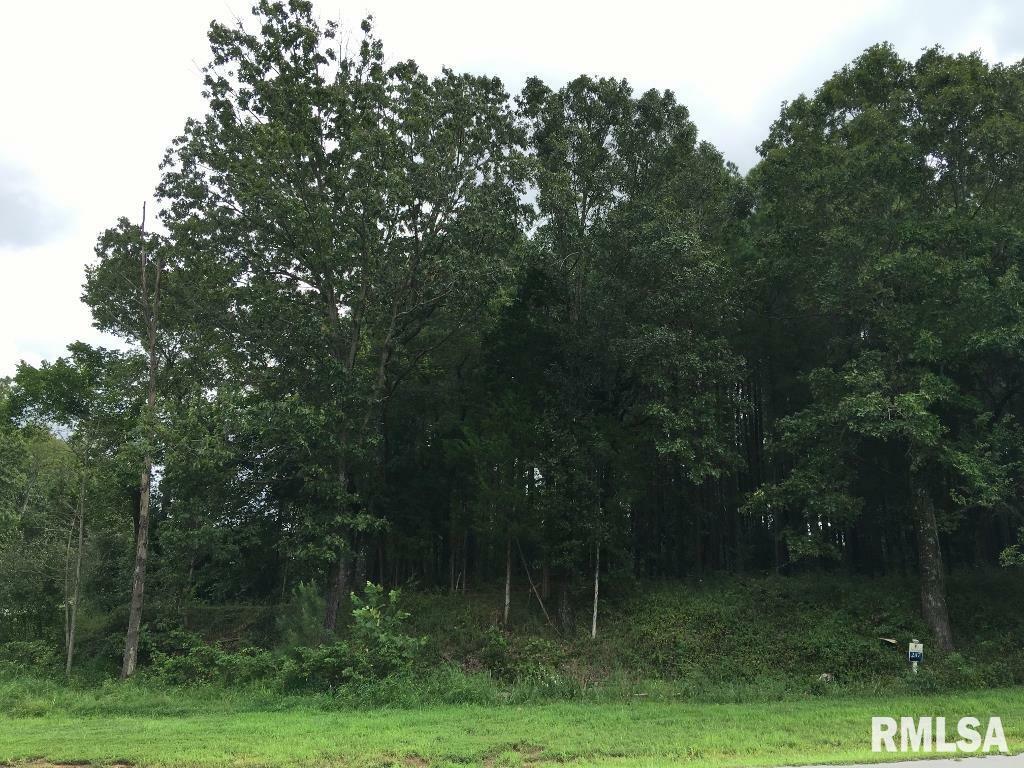 Property Photo: 00 Parrish Ridge Lane IL 62972