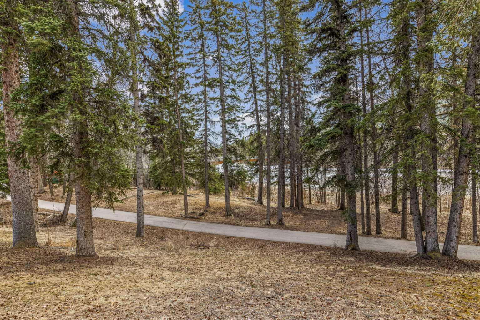 Property Photo: 317 Buffalo Street AB T1L 1A1