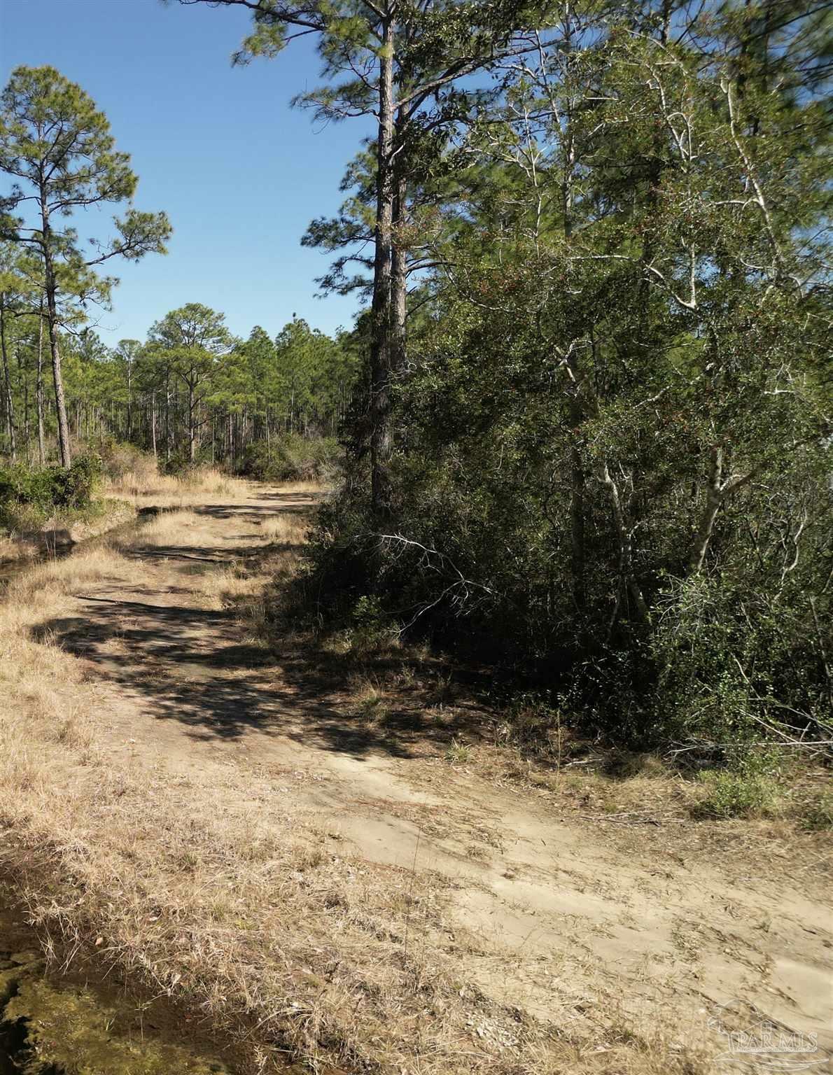 Property Photo:  Robinson Point Rd  FL 32583 